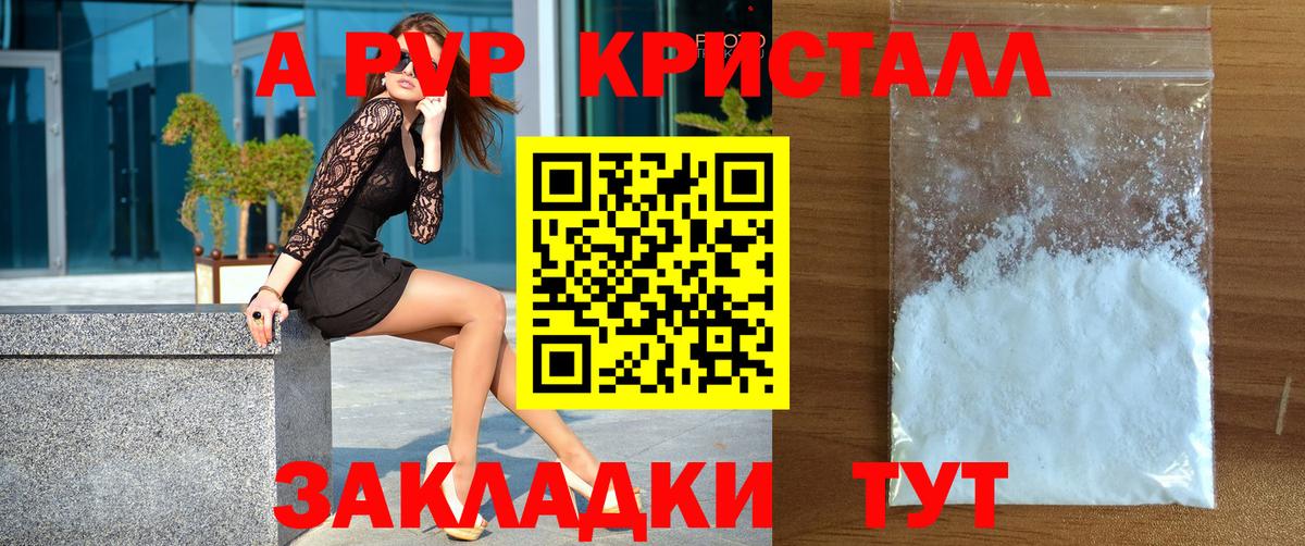 Альфа ПВП СК Дубна