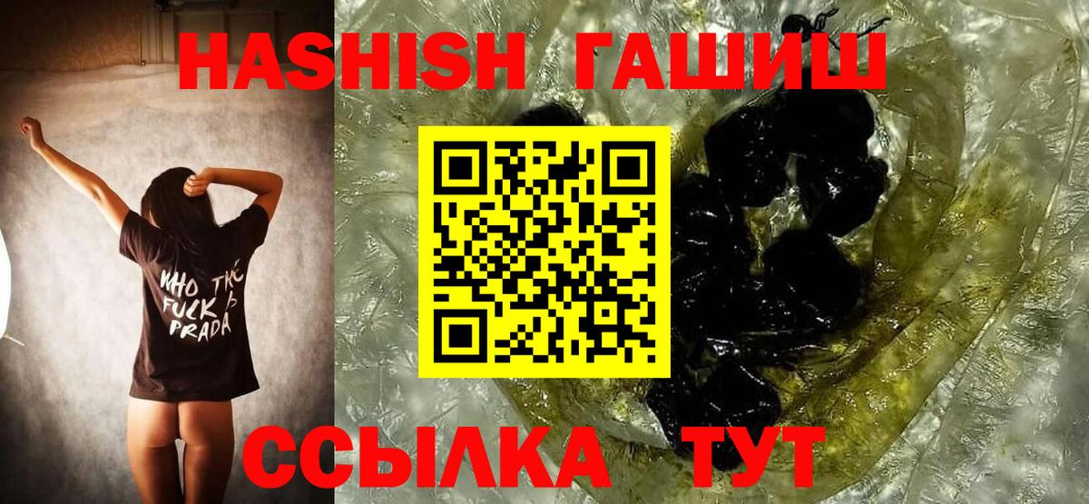 ГАШ Premium Дубна
