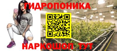 МДПВ Заволжье